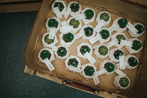 photographe mariage rock hipster lyon alternatif décalé péniche