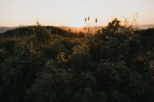 mariage, provence, marseille, rock, cool, photographe, boho, décalé