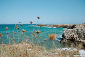 cliffs, waves, wild, nature, puglia, italy, monopoli