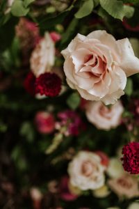 photographe mariage lyon