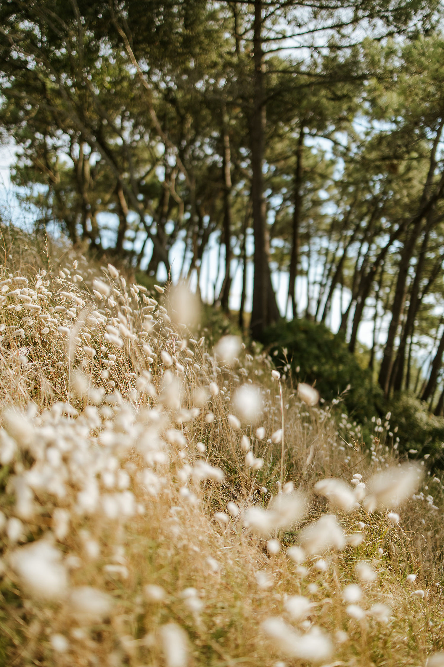 photographe plage mariage biscarrosse