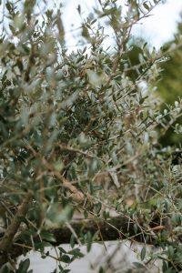 photographe forêt mariage aimedeuxfois slow village