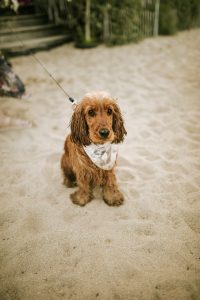 photographe mariage st tropez plage